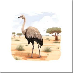 Ostrich Posters and Art